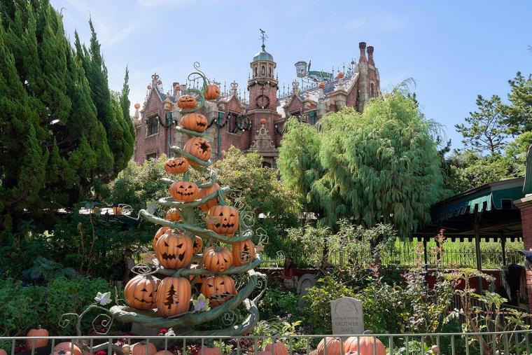 東京ディズニーランド　ハロウィーン