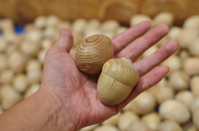 徳島木のおもちゃ美術館