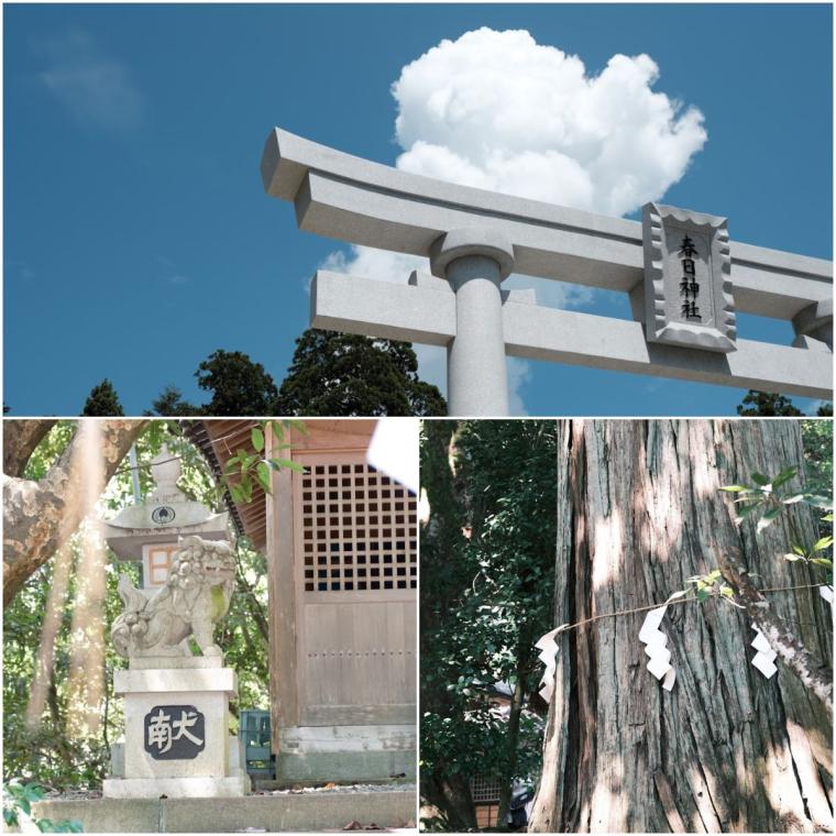 土地の魅力を写真で切り撮ろう！フォトウォークイベントレポート