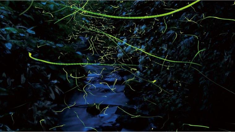 【長野県】ユネスコエコパーク「志賀高原」の地域で守り続けてきたサステナブル魅力