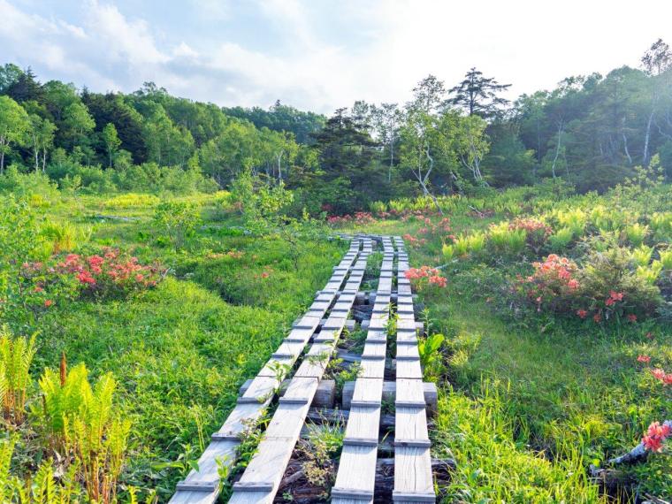【長野県】ユネスコエコパーク「志賀高原」の地域で守り続けてきたサステナブル魅力