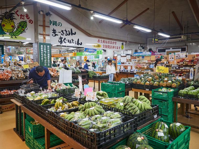 【沖縄】焼き物の里で初めての「やちむん」探し＆「ビオスの丘」