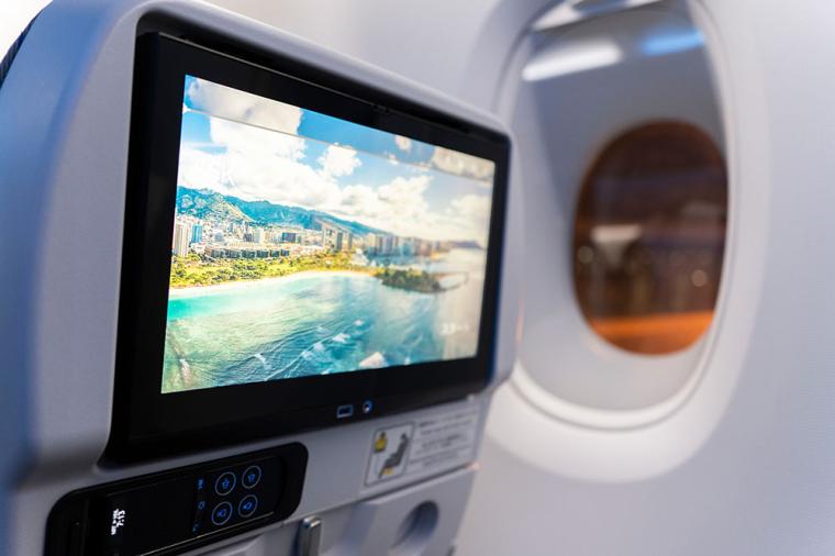 ANA「フライングホヌ」