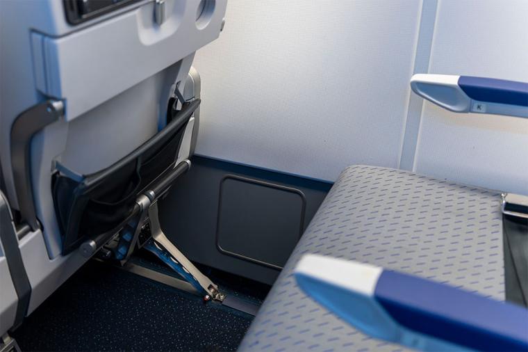 ANA「フライングホヌ」