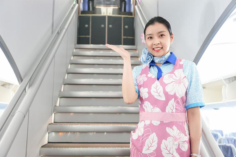 ANA「フライングホヌ」