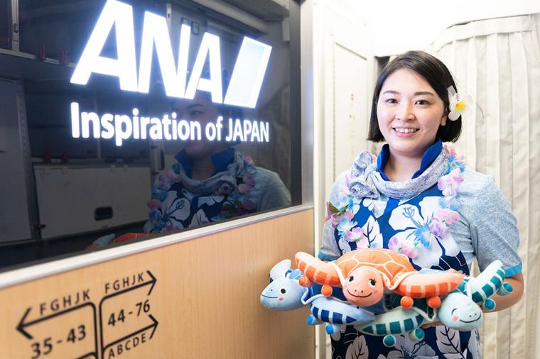 ANA「フライングホヌ」