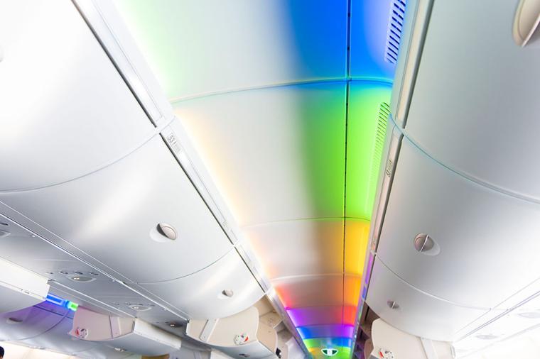 ANA「フライングホヌ」