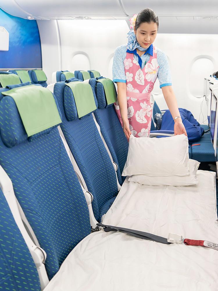 ANA「フライングホヌ」カウチシート