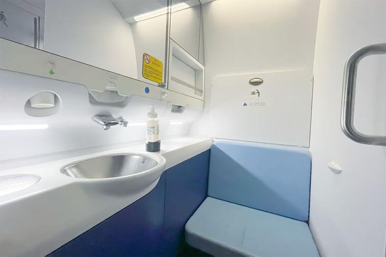 ANA「フライングホヌ」