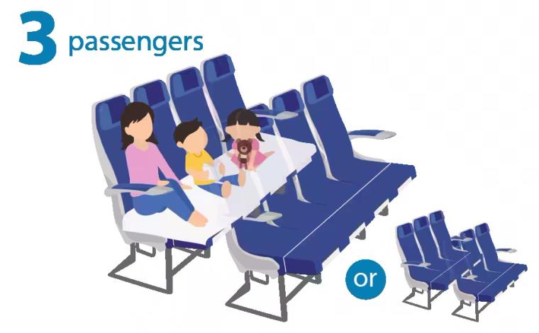 ANA「フライングホヌ」カウチシート