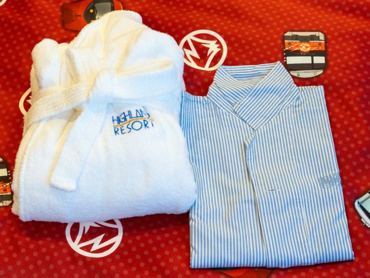 まるで電車内!? 「ハイランドリゾート ホテル＆スパ」に「富士急行線ルーム」誕生