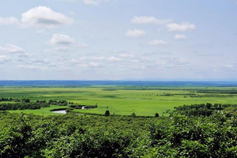 釧路湿原