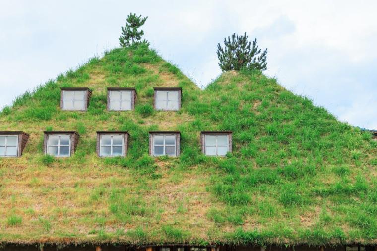 メインショップ