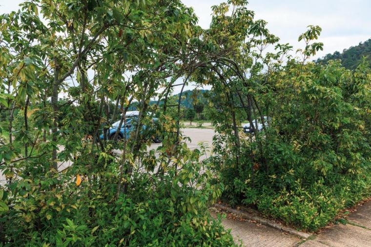 ラ コリーナ近江八幡