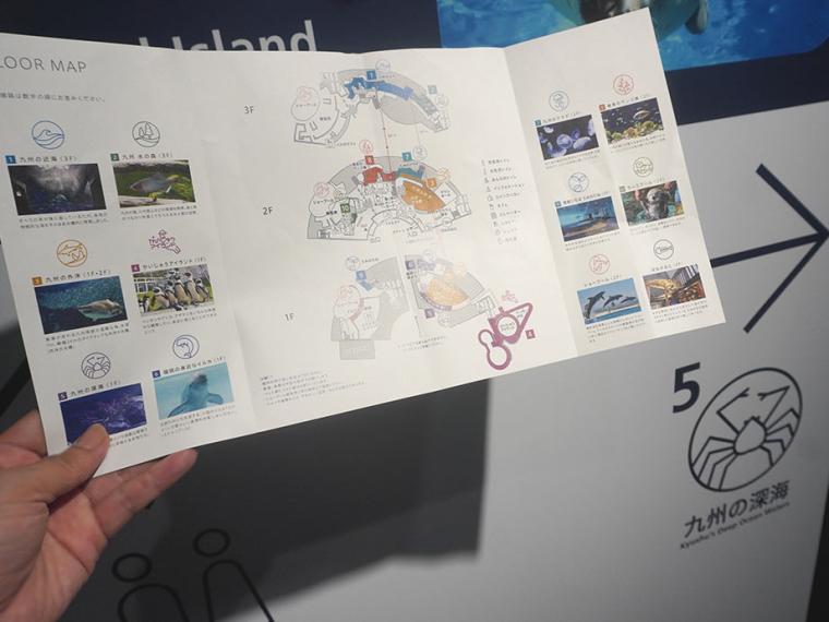 マリンワールド海の中道