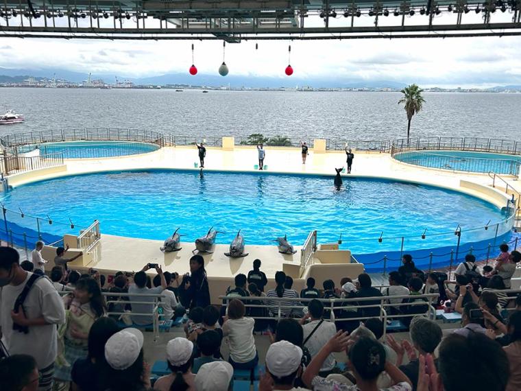 マリンワールド海の中道