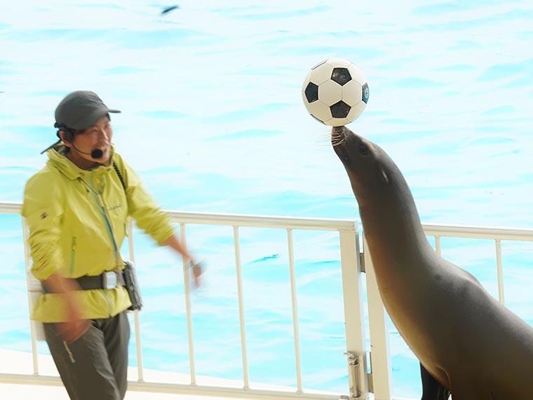 マリンワールド海の中道