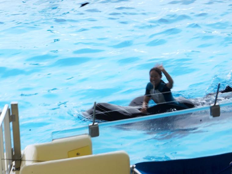 マリンワールド海の中道