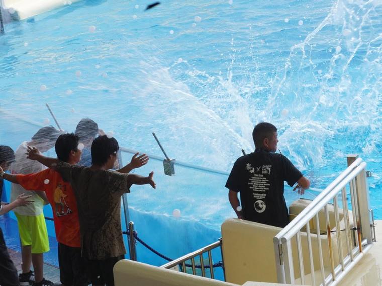 マリンワールド海の中道