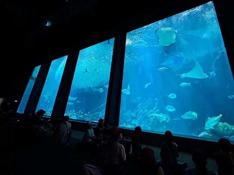 マリンワールド海の中道