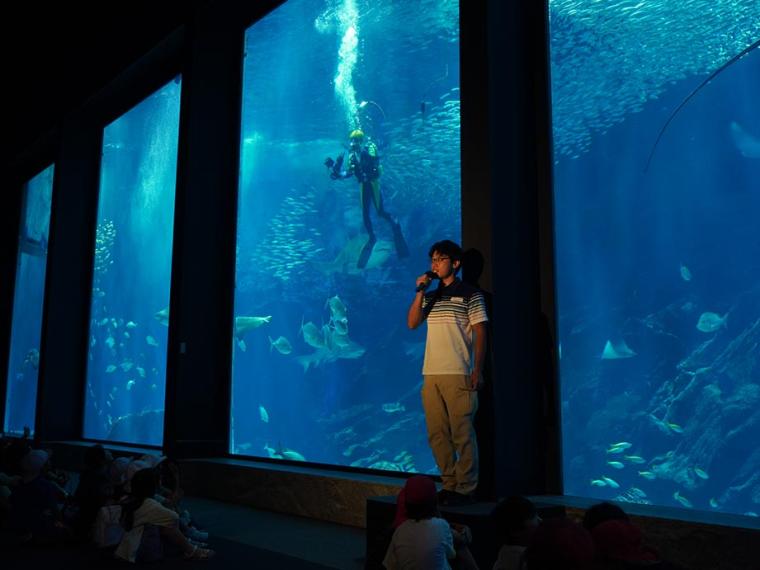 マリンワールド海の中道