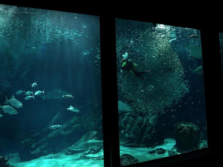 マリンワールド海の中道