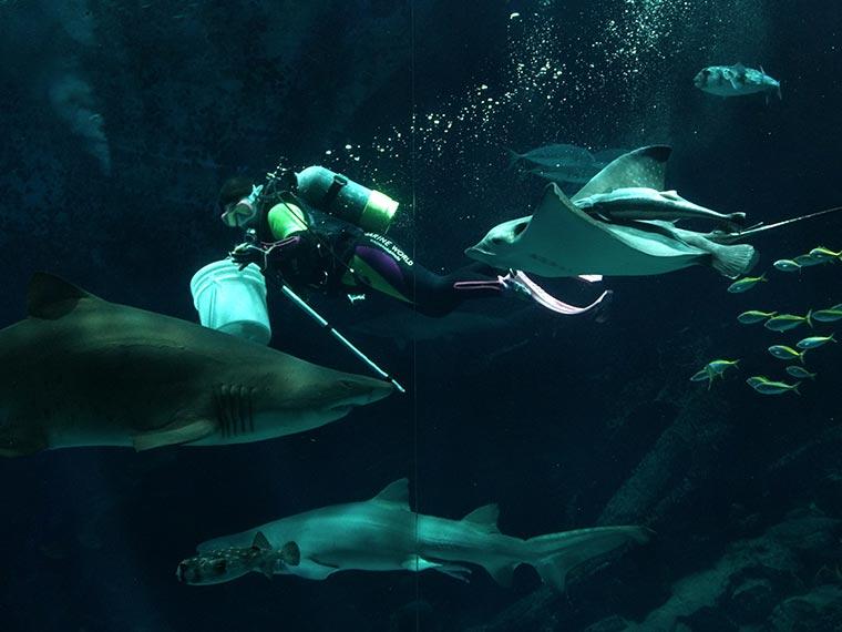 マリンワールド海の中道