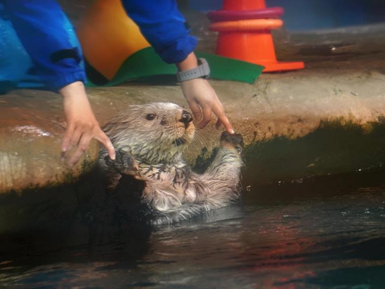 マリンワールド海の中道