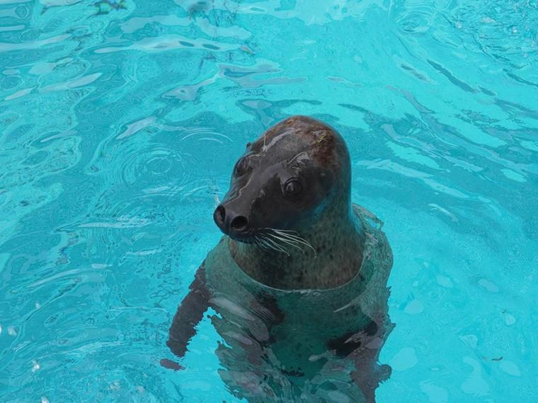 マリンワールド海の中道