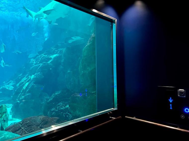 マリンワールド海の中道