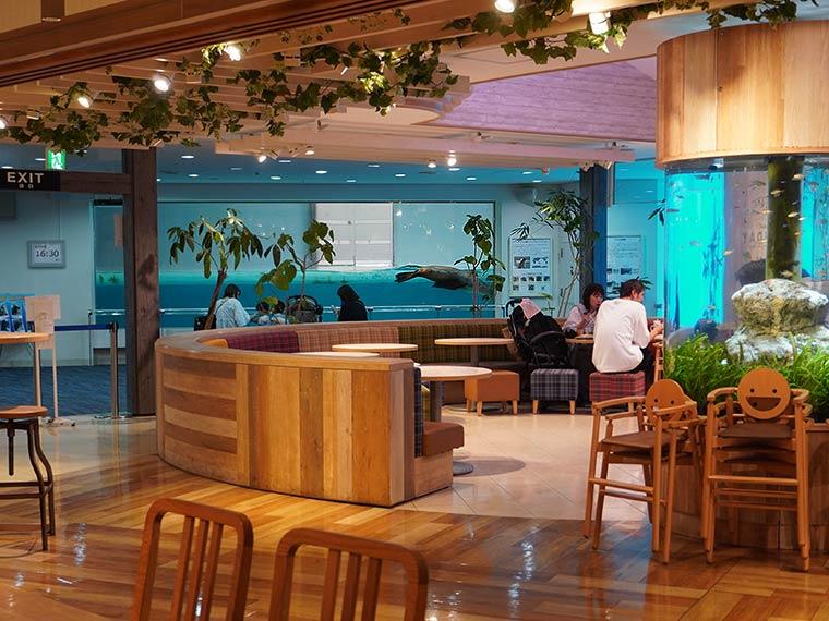 マリンワールド海の中道