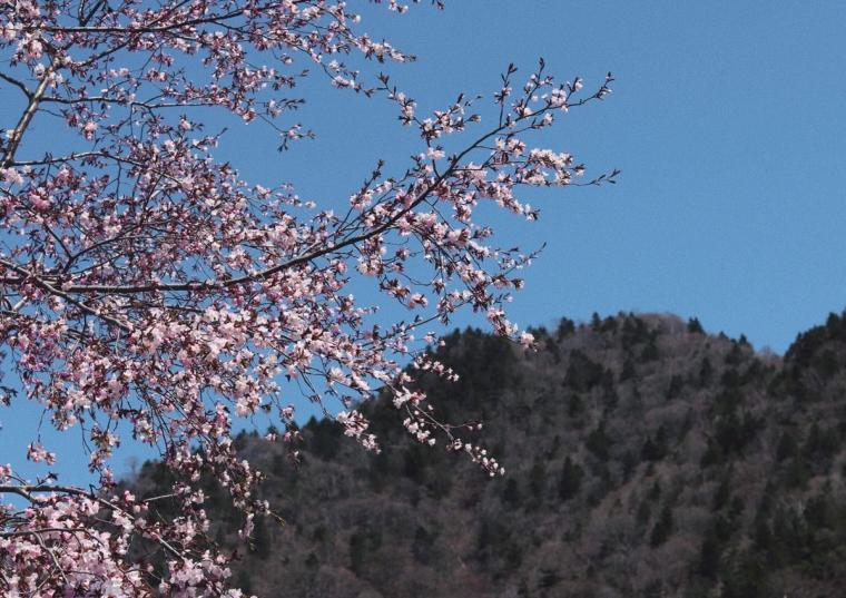 四季折々の絶景を楽しめる定山渓