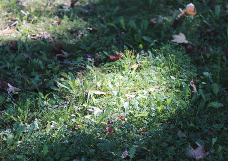 季節ならではの心地よさに包まれる定山渓