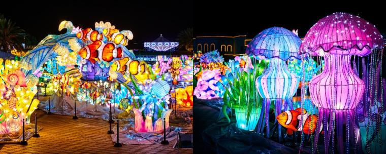 雲海とオーロラ広がる幻想庭園も初登場！「ラグナシア」冬季イルミネーション