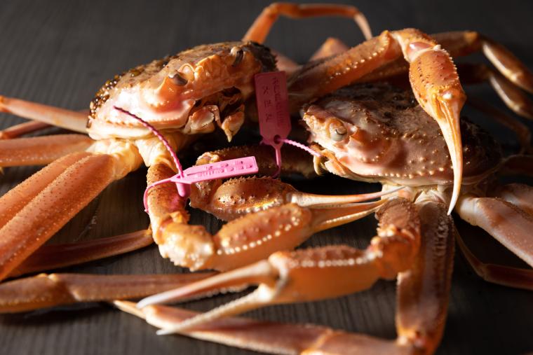 いよいよ漁解禁！「休暇村 竹野海岸」で1人2杯の贅沢な「活け松葉蟹フルコース」を