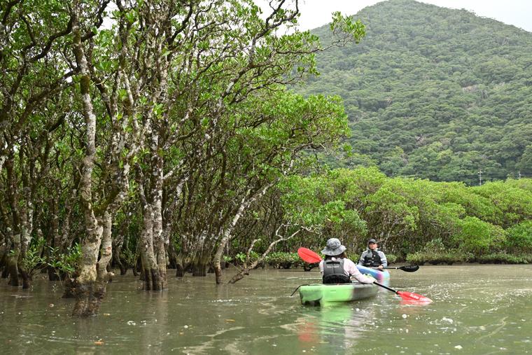 奄美アクティビティ