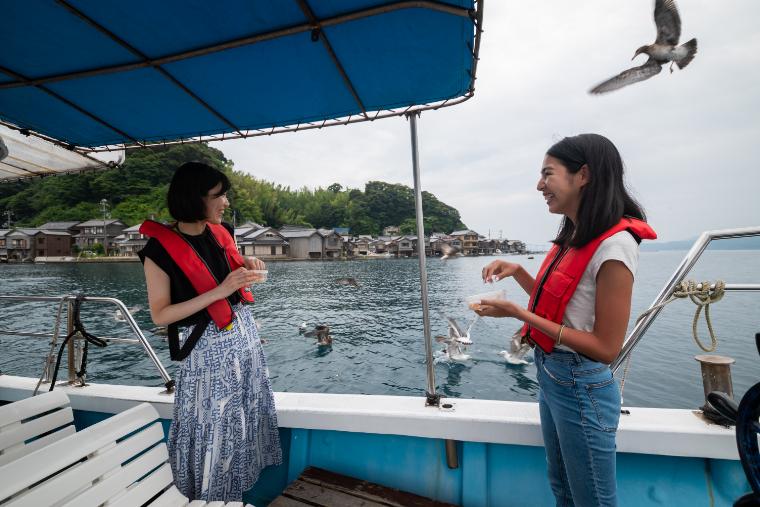 カモメの餌やり体験