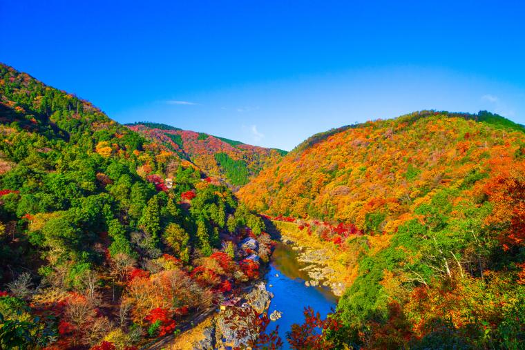 亀山公園から見た保津峡