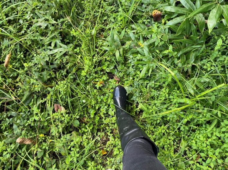 一度も列車が走ることのなかった「幻の鉄道遺跡」！島根県と広島県をつなぐ広浜鉄道
