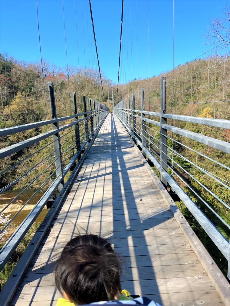 巨石を眺める遊歩道や高さ45メートルのつり橋も！ベビーカーで子供も一緒に楽しめる景勝地「鬼の舌震」   