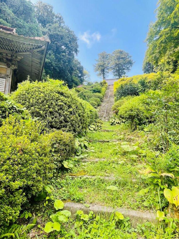 西の高野山ともいわれる島根県の「高野寺」。200 年前の色鮮やかな天井絵が圧巻！
