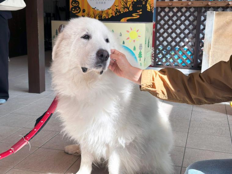 エンゼルフォレスト白河高原