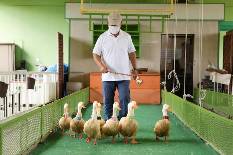 別府ラクテンチ