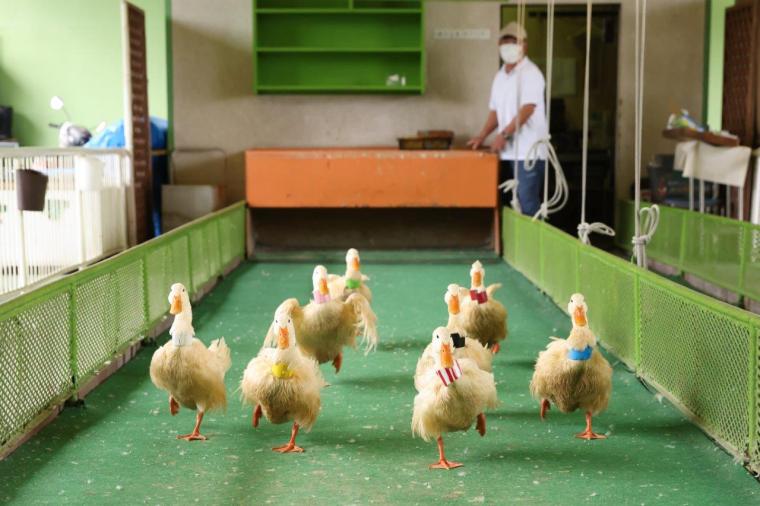 別府ラクテンチ