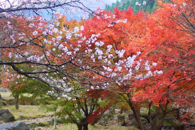 別府ロープウェイ