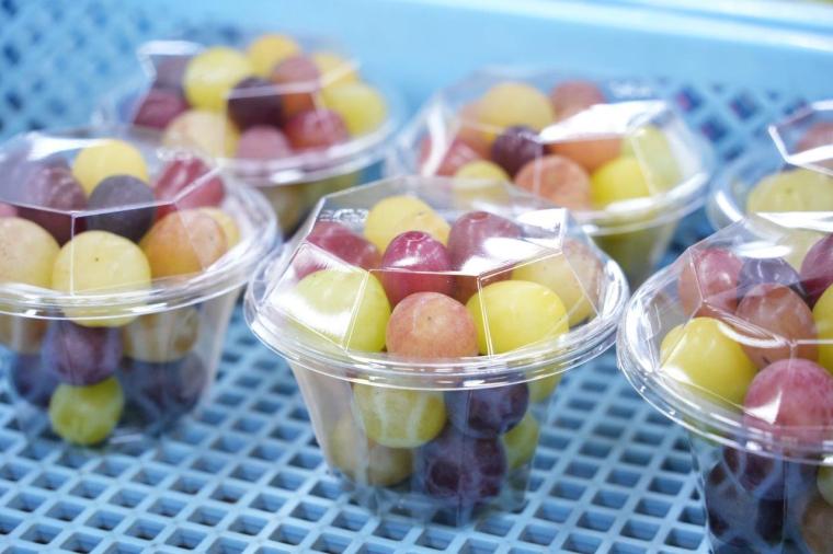 九州ドライブ旅の拠点に！「フェアフィールド・バイ・マリオット・福岡うきは」