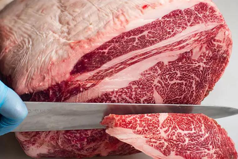 誠実一心 熊本個室焼肉 褐火 総本店