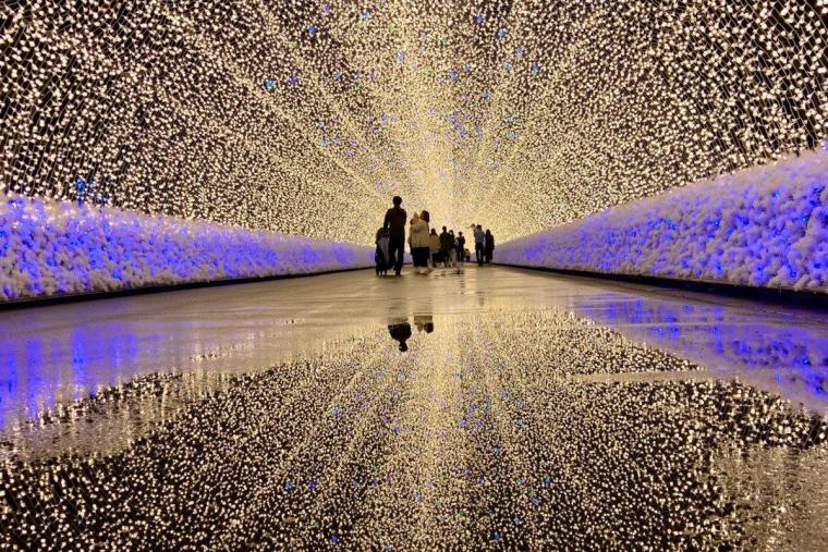 なばなの里イルミネーション