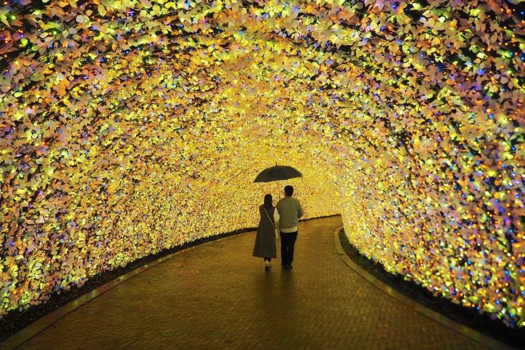 なばなの里イルミネーション