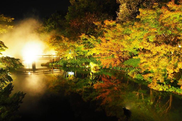 なばなの里イルミネーション